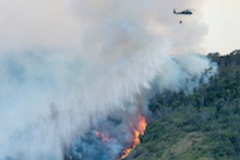 Sustainability and Fire
