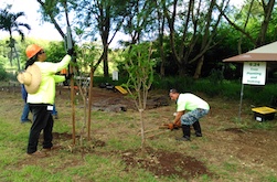 Growing a New Crop of Landscapers