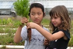 Connecting Kids to Food