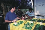 Papayas and Hope