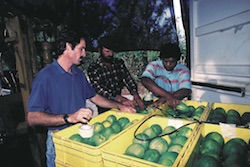 Papayas and Hope