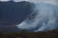 Climate and Vegetation Shape Wildfire Risk in Hawai‘i