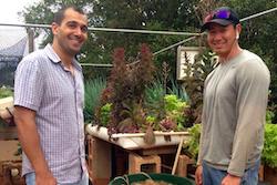 Familiar Faces in New Places: Amjad Ahmad