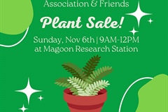 Plant Sale: Sunday! Sunday! Sunday!