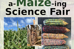 A-Maize-ing Science Fair