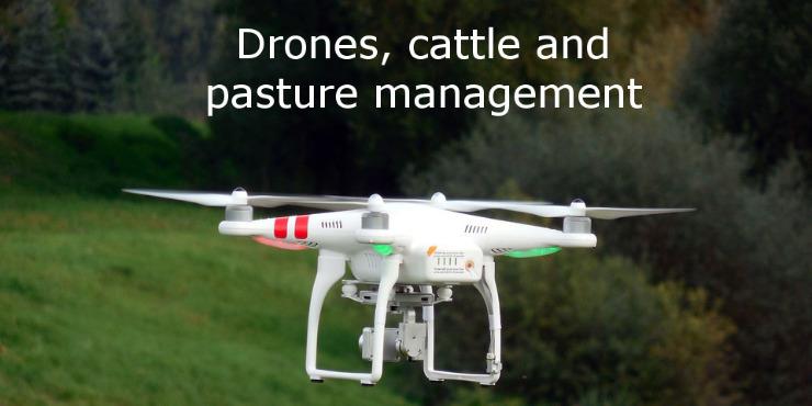 Drone flying over pasture in Kamuela