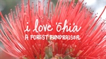 Local Artist Crowdfunds to Help Fight  Rapid ʻŌhiʻa Death Fungus
