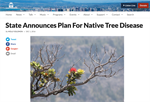 State Announces Plan for Native Tree Disease