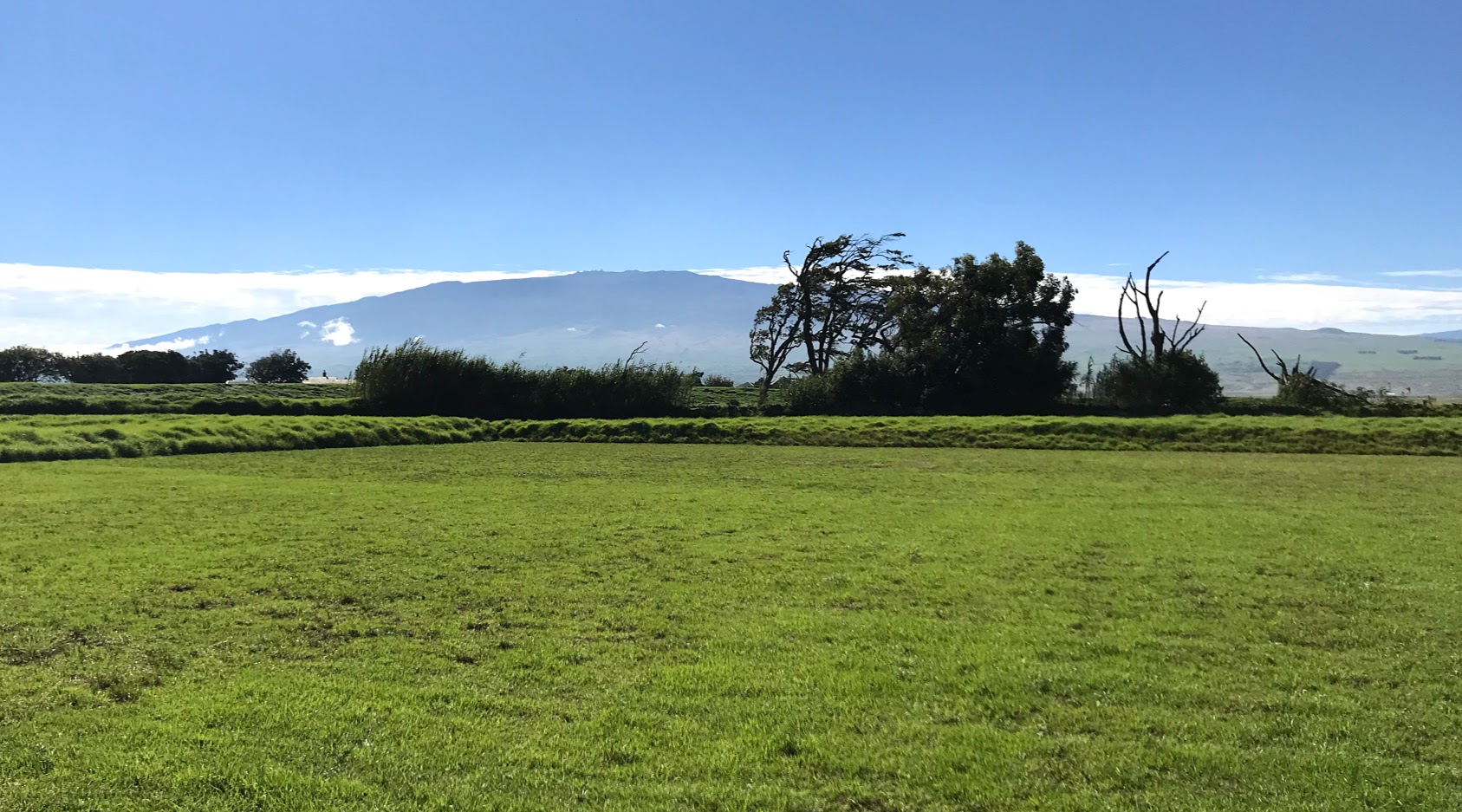 Mauna Kea viewed from Waimea