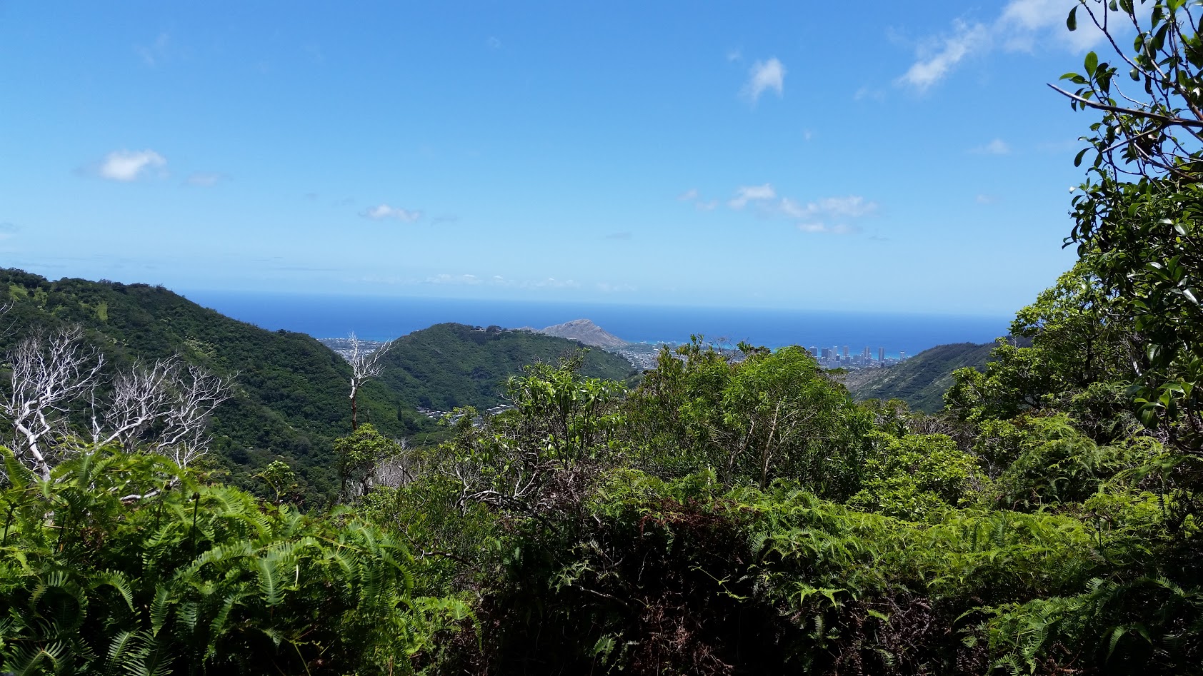 Oahu, looking towards Waikiki from Ka'au crater trail