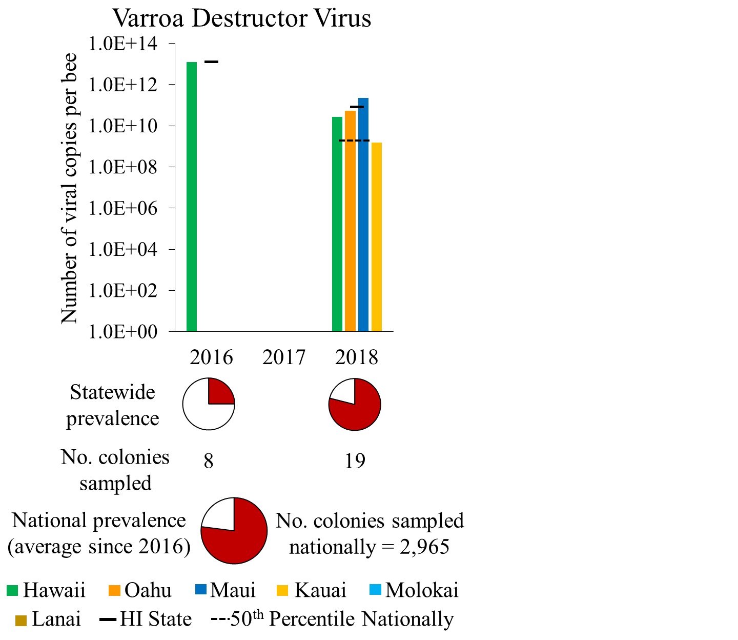VDV prevalence in Hawaii