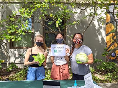 Students Love Citrus and Cabbages!