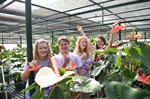 Hawaii AgDiscovery Program