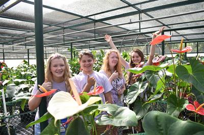 Hawaii AgDiscovery Program