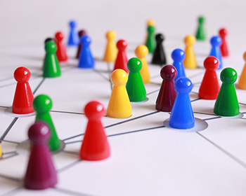 Building partnerships and networks