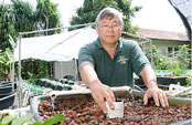 Clyde Tamaru at aquaponic bed