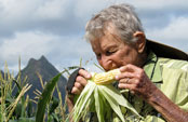 James Brewbaker tasting corn