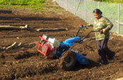 woman operating tiller