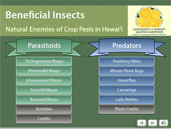 Beneficial Insects Module